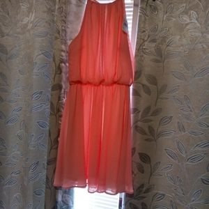 Lush NWT dress
